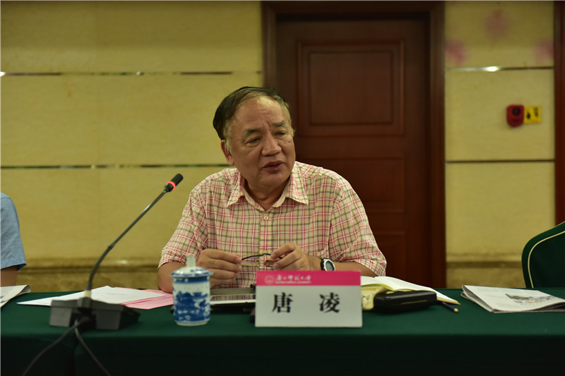廣西歷史學(xué)會(huì )會(huì )長(cháng)、廣西師范大學(xué)歷史文化與旅游學(xué)院教授唐凌發(fā)言（郭倩 攝）.JPG